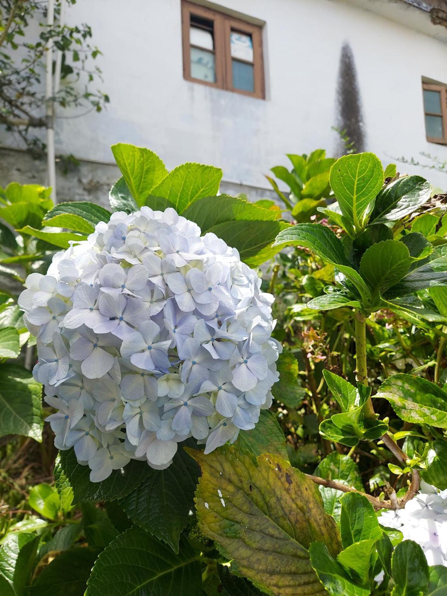 Amman Resorts Tamilnadu - Tamilnadu - Kodaikanal Exterior foto